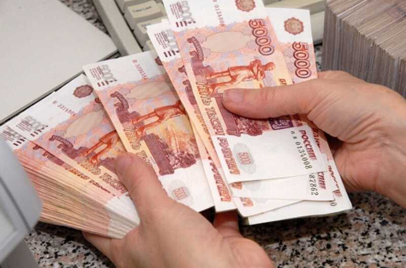 На Камчатке директора фермы заподозрили в хищении субсидий